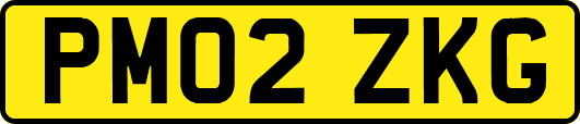 PM02ZKG