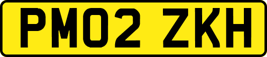 PM02ZKH