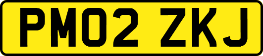 PM02ZKJ