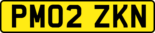 PM02ZKN