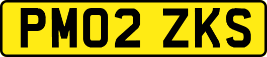 PM02ZKS