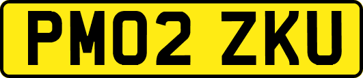 PM02ZKU