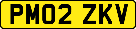 PM02ZKV
