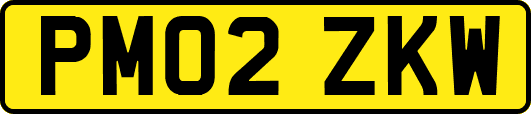 PM02ZKW
