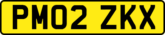 PM02ZKX