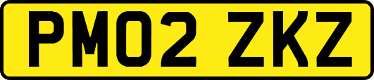 PM02ZKZ