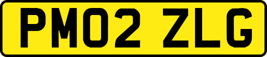 PM02ZLG
