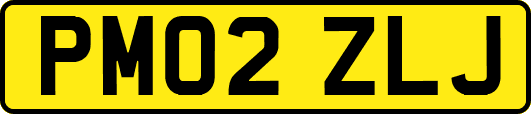 PM02ZLJ