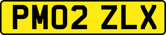 PM02ZLX