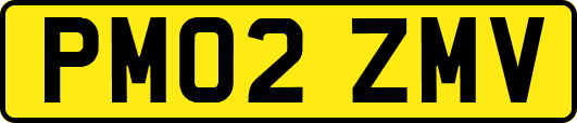 PM02ZMV