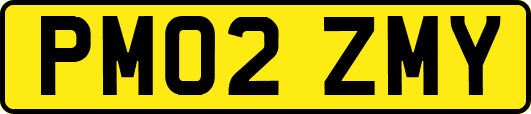 PM02ZMY