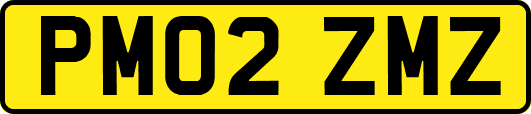 PM02ZMZ