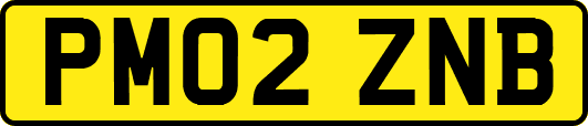 PM02ZNB