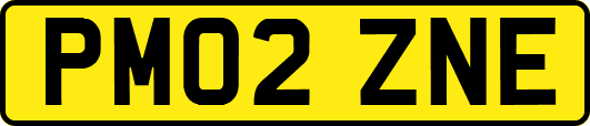 PM02ZNE