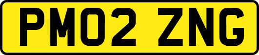 PM02ZNG