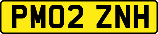 PM02ZNH