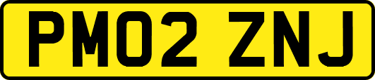 PM02ZNJ