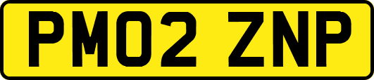 PM02ZNP