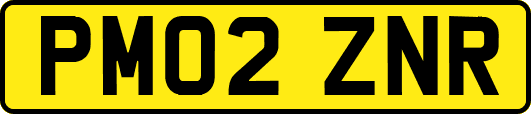 PM02ZNR