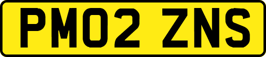 PM02ZNS