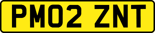 PM02ZNT