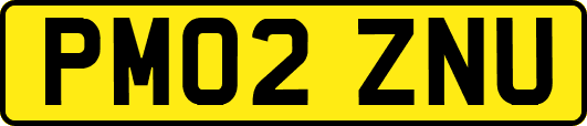 PM02ZNU