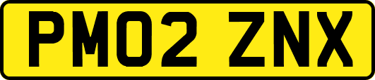 PM02ZNX