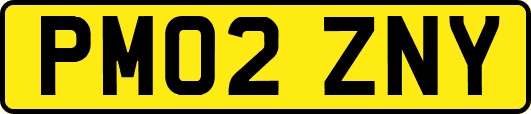 PM02ZNY