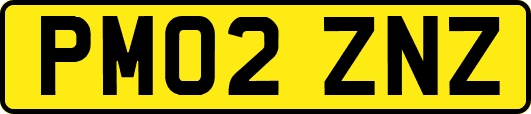 PM02ZNZ
