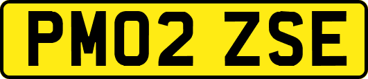 PM02ZSE