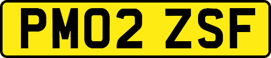PM02ZSF
