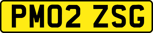 PM02ZSG