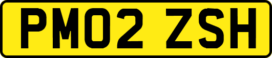 PM02ZSH