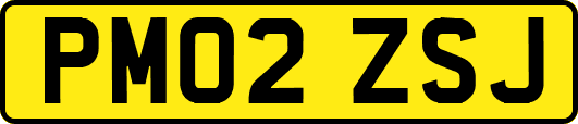 PM02ZSJ