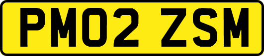 PM02ZSM