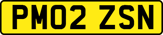 PM02ZSN