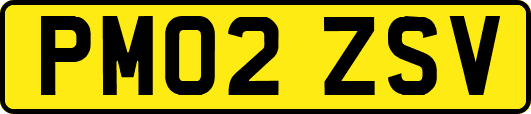 PM02ZSV