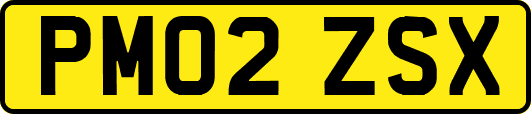 PM02ZSX
