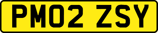 PM02ZSY