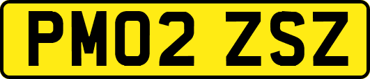 PM02ZSZ