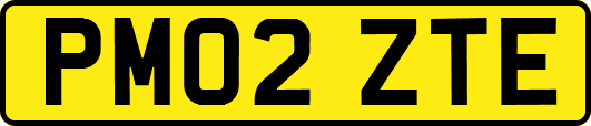 PM02ZTE