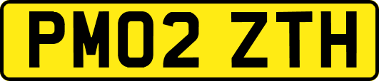 PM02ZTH