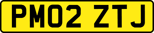 PM02ZTJ
