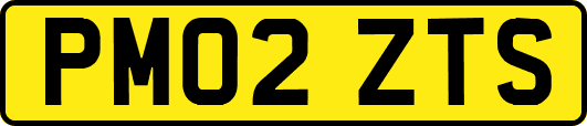 PM02ZTS