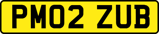 PM02ZUB