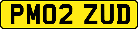 PM02ZUD