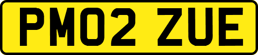 PM02ZUE