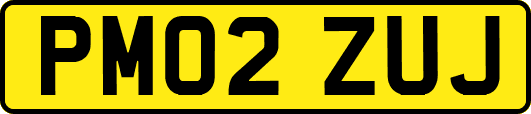 PM02ZUJ