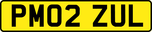 PM02ZUL