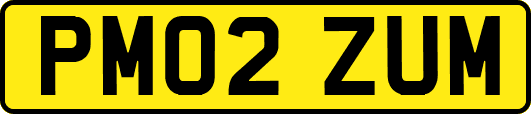 PM02ZUM